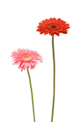 Similar image 614522