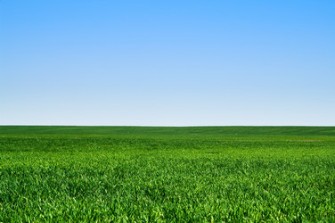 Similar image 614584