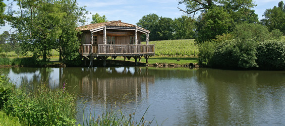 Similar image 614603