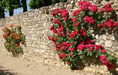 Similar image 614683