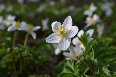 Similar image 614698