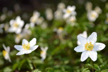 Similar image 614700