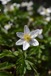 Similar image 614701