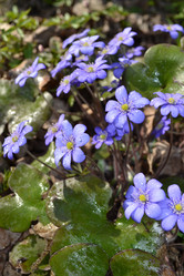 Similar image 614704