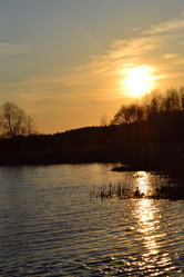 Similar image 614705