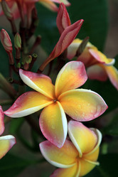 Similar image 614706