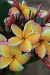 Similar image 614708