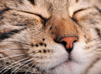 Similar image 614711