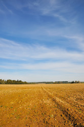 Similar image 614741