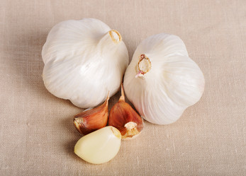 Similar image 614742