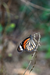 Similar image 614873