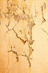 Similar image 614926