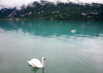 Similar image 614934