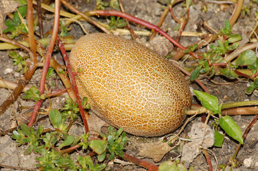 Similar image 615014