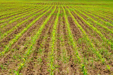 Similar image 615036