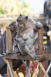 Similar image 615037