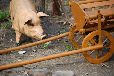 Similar image 615083