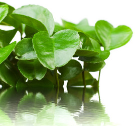 Similar image 615107