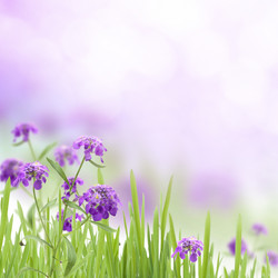 Similar image 615114