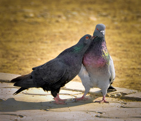 Similar image 615113