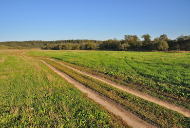 Similar image 615116