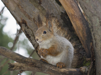 Similar image 615117