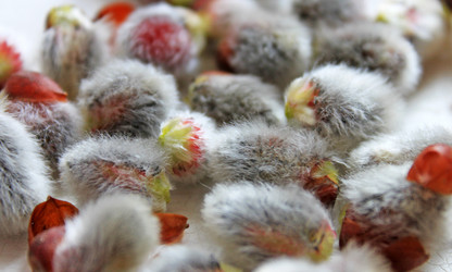 Similar image 615127