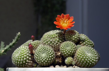 Similar image 615140