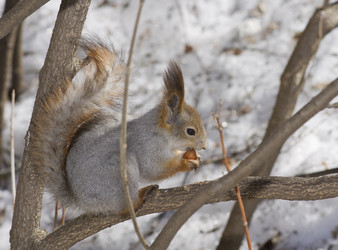 Similar image 615183