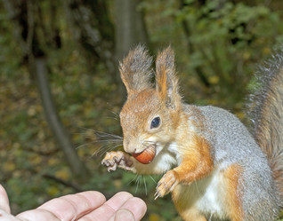 Similar image 615186