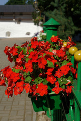 Similar image 615216