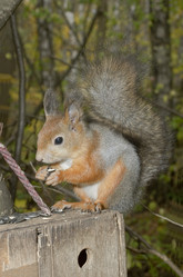 Similar image 615228