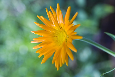 Similar image 615247