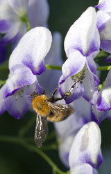 Similar image 615250