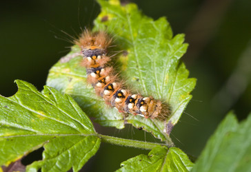 Similar image 615252