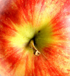 Similar image 615258