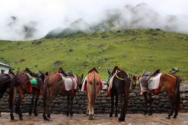 Similar image 615263