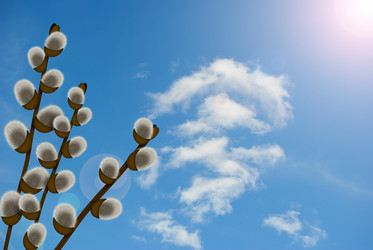 Similar image 615295