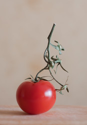 Similar image 615304