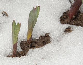 Similar image 615324