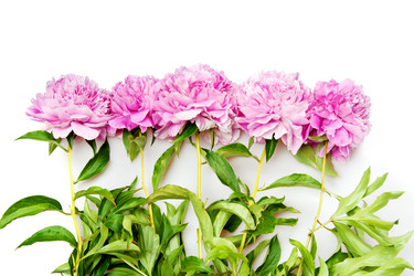 Similar image 615355