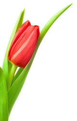 Similar image 615357