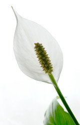 Similar image 615366