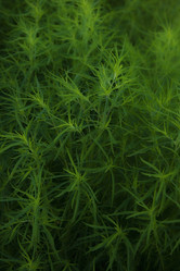 Similar image 615420