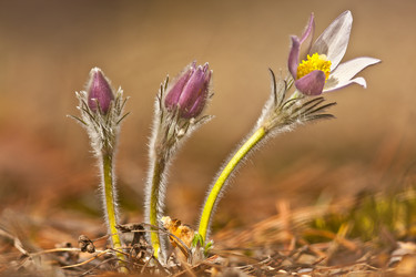 Similar image 615435