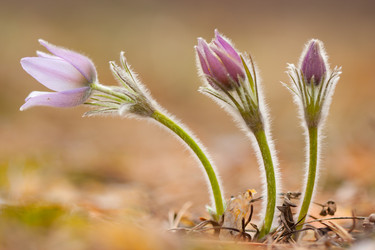 Similar image 615436