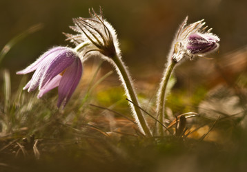 Similar image 615439