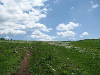 Similar image 615500