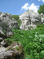 Similar image 615536