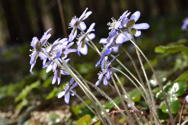 Similar image 615615